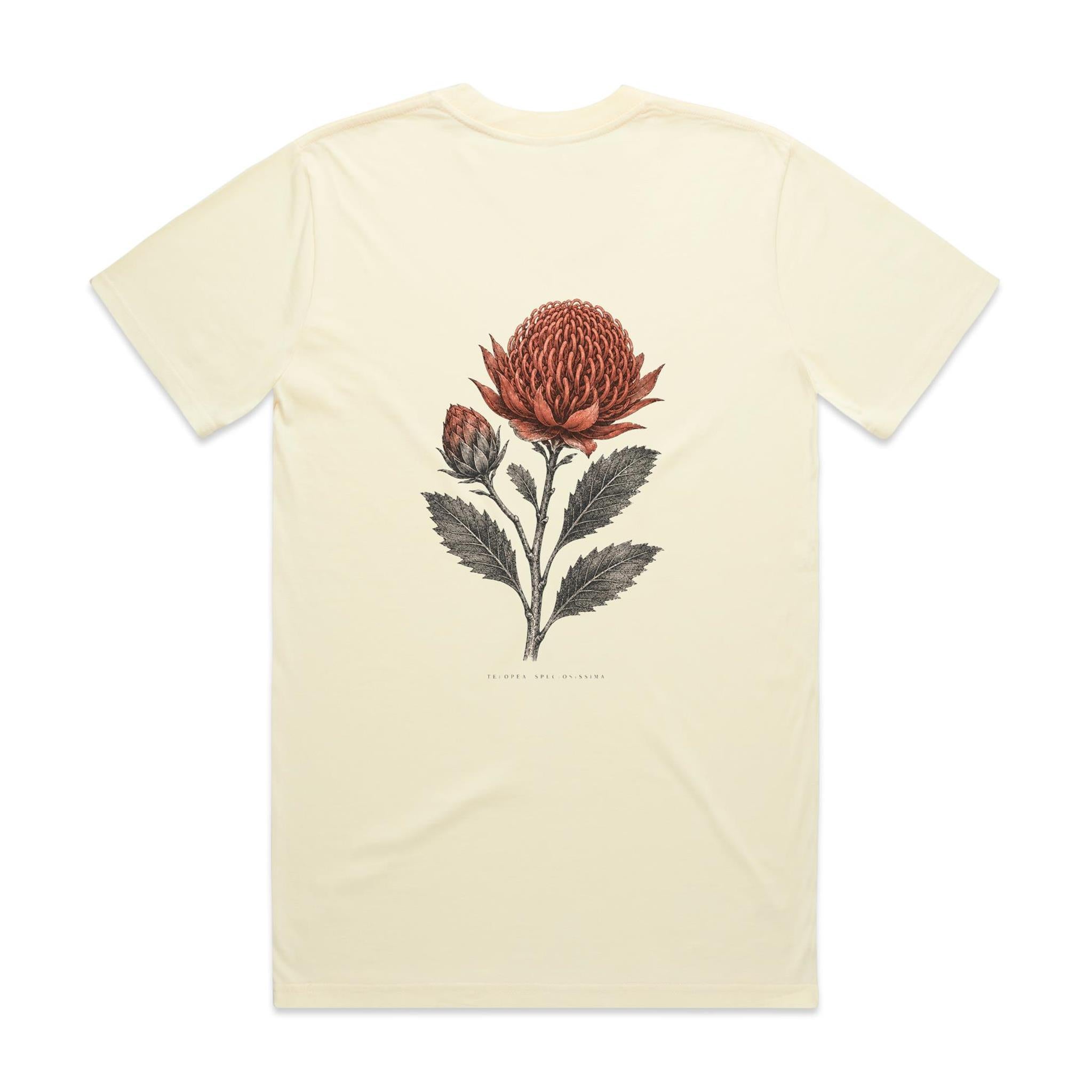 Waratah — Telopea Speciosissima | The Serious Corner