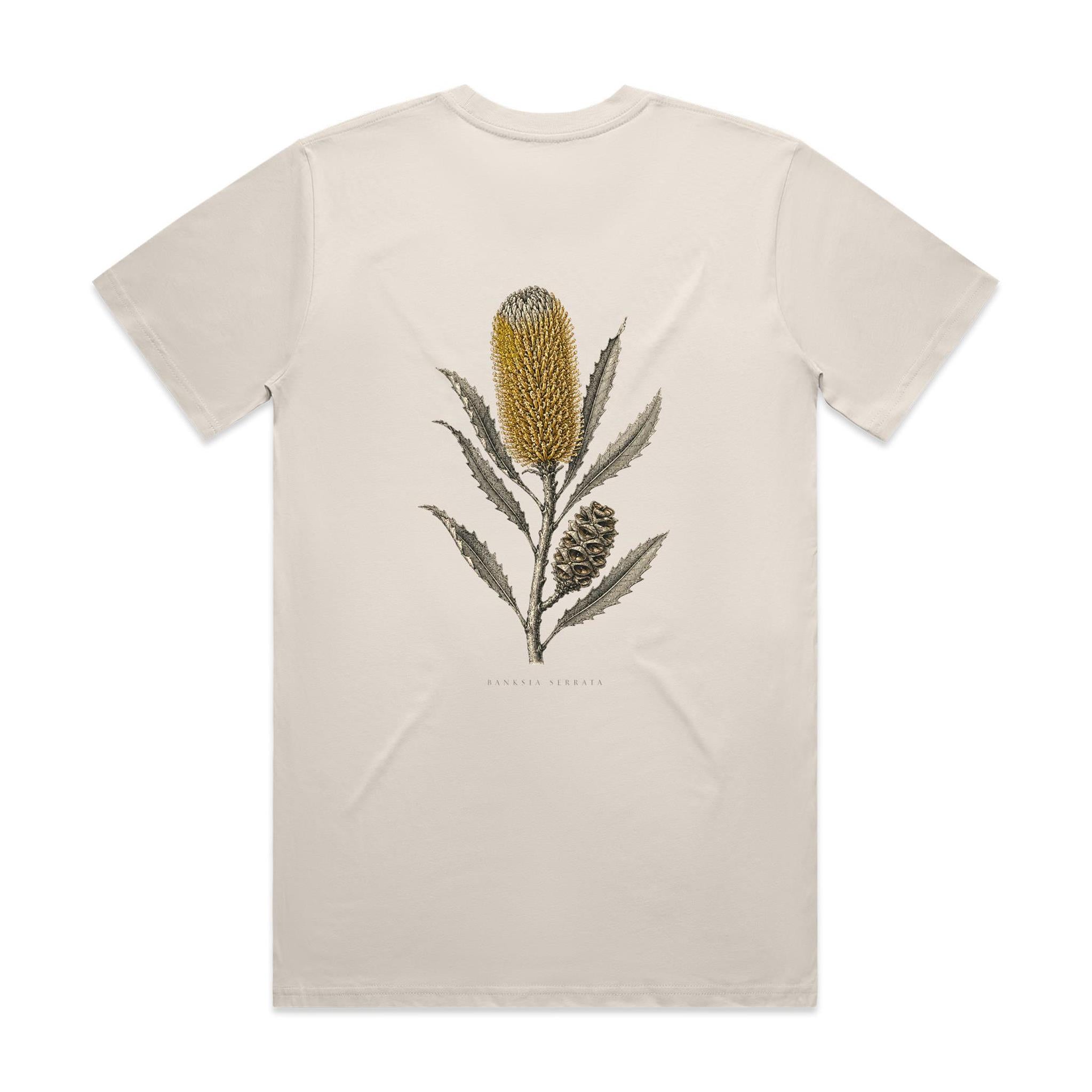 Old Man Banksia — Banksia Serrata | The Serious Corner