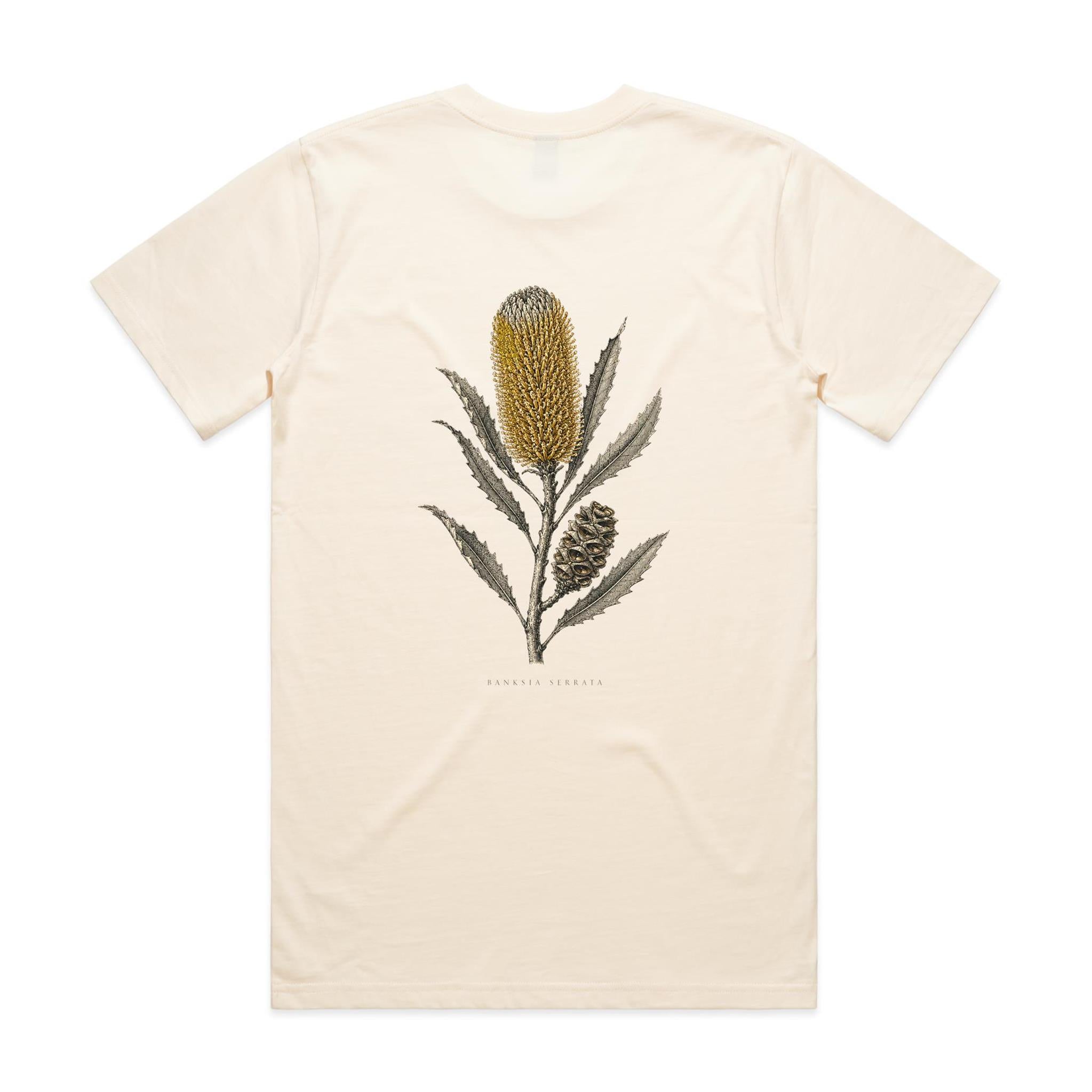 Old Man Banksia — Banksia Serrata | The Serious Corner