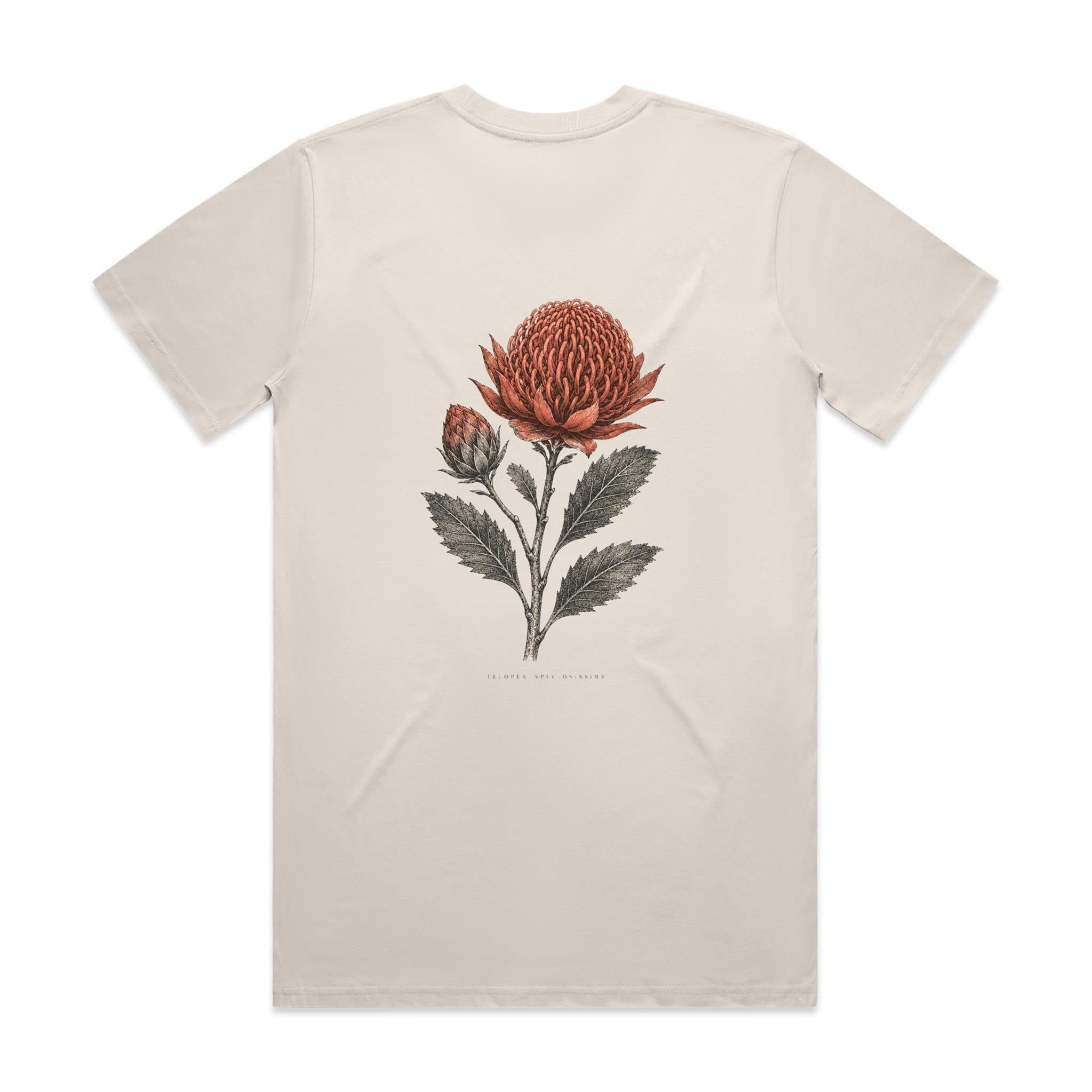 Waratah — Telopea Speciosissima | The Serious Corner