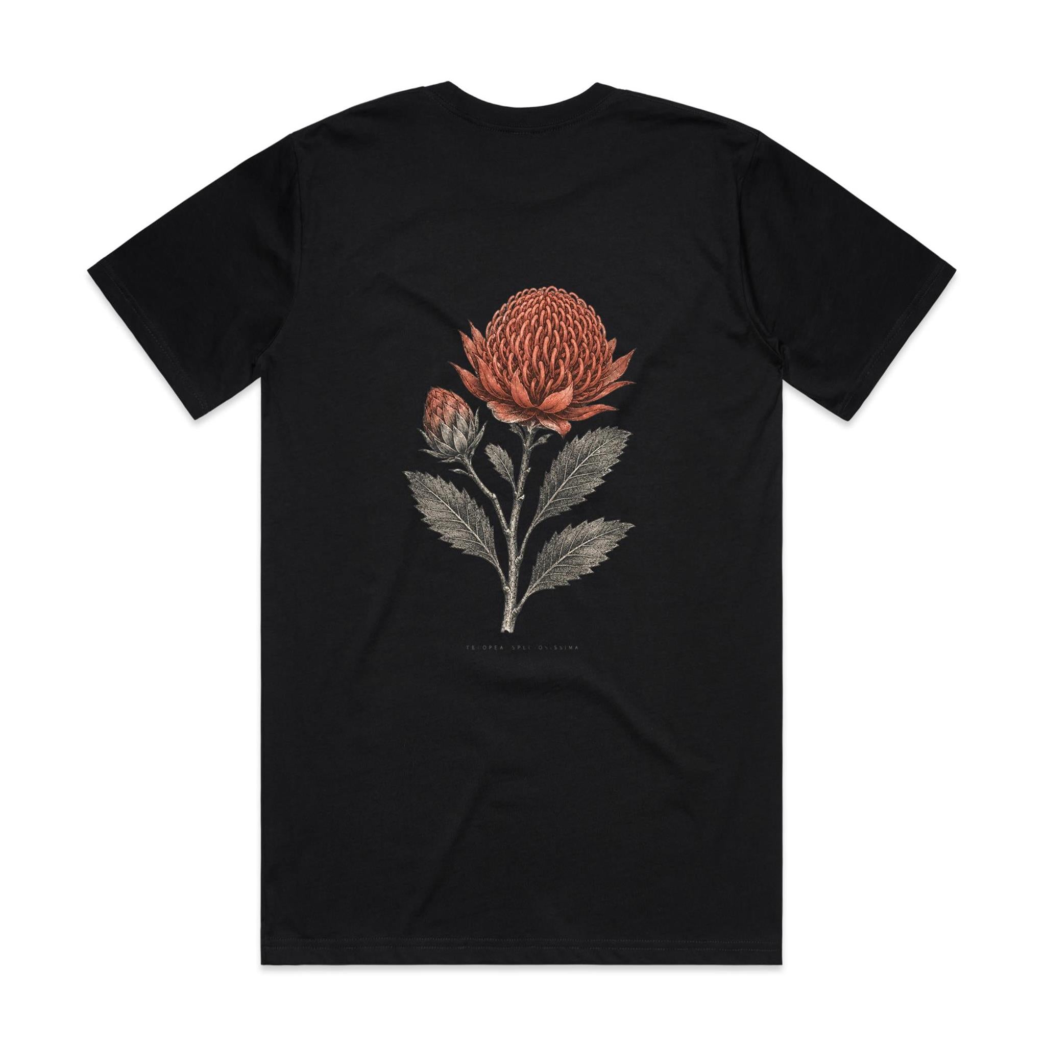 Waratah — Telopea Speciosissima | The Serious Corner