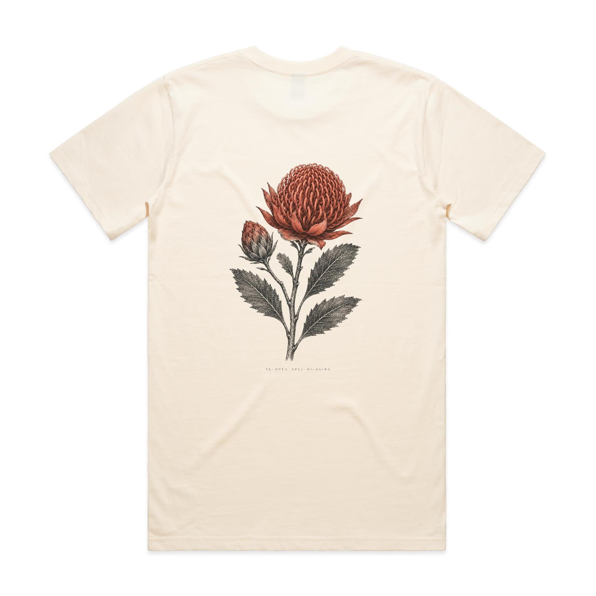 Waratah — Telopea Speciosissima | The Serious Corner